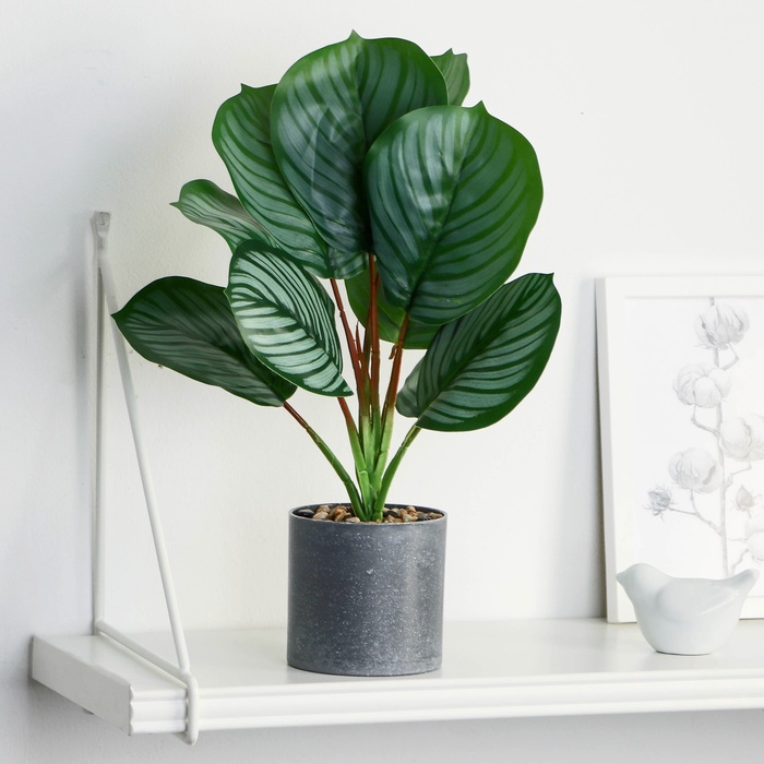 Искусственный цветок в горшке «Калатея», 9×30 см