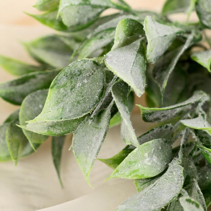 Букет искусственный «Травка широкие листья», h=30 см