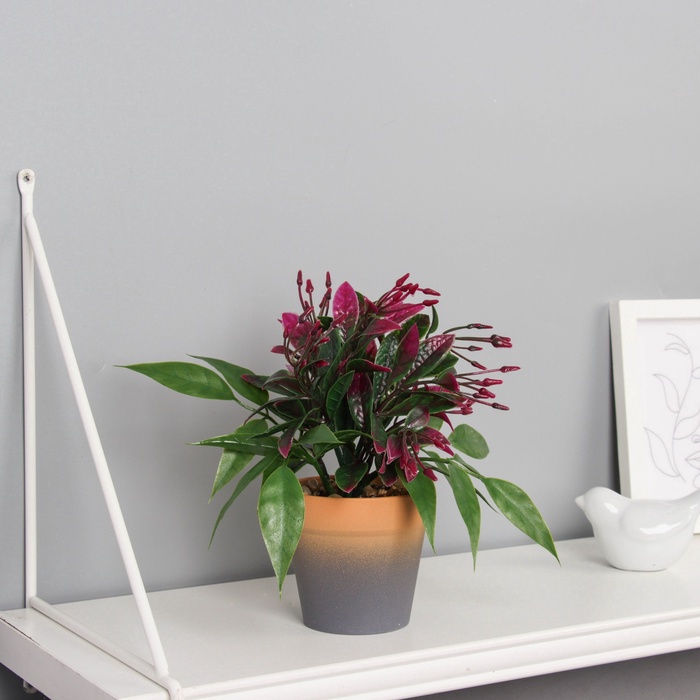 Искусственный цветок в горшке «Птицемлечник», 8.5×18 см, МИКС