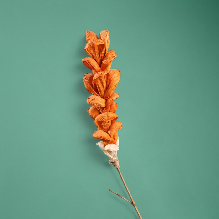 Сухоцвет на бамбуковом стебле, 150 см, оранжевый