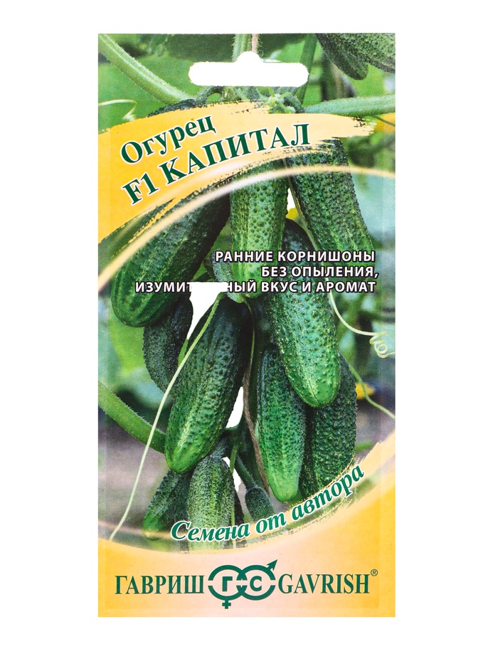 Семена Огурец Капитал F1 10 шт. автор.