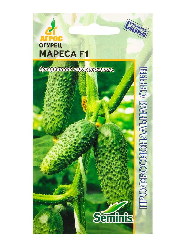 Семена Огурец «Мареса», F1, 8 шт., «Агросс»