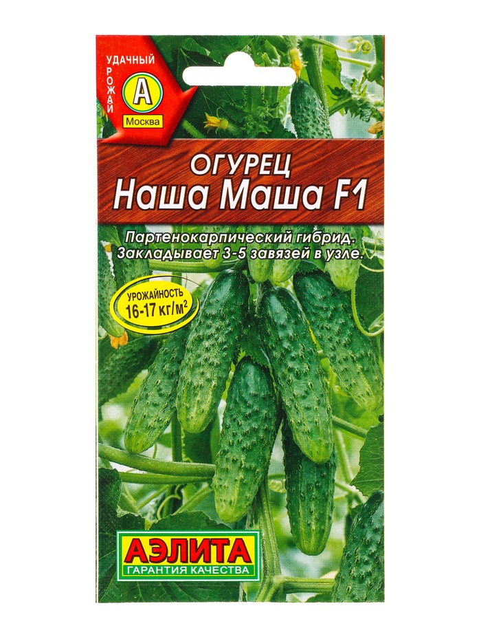 Семена Огурец «Наша Маша», F1, партенокарпический, 10 шт., «АЭЛИТА»