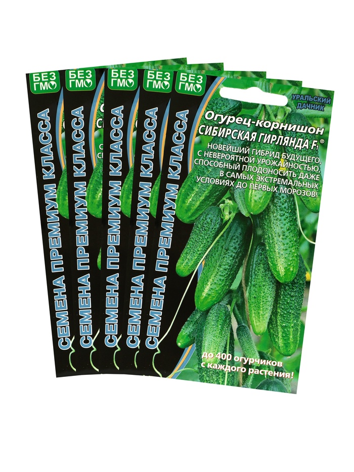 Семена Огурец