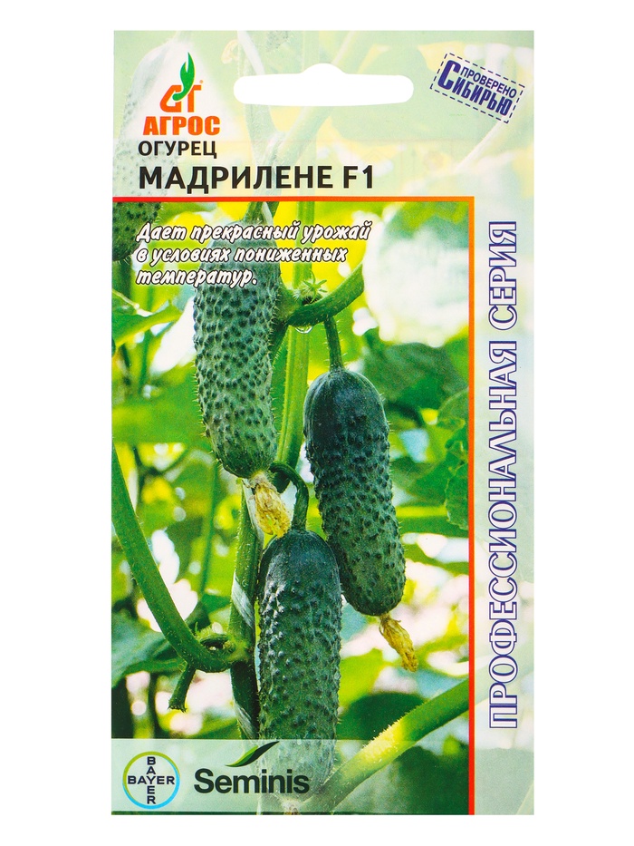 Семена Огурец «Мадрилене», F1, 8 шт., «Агросс»