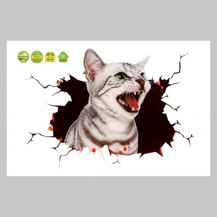 Интерьерная наклейка 3Д TAKE IT EASY «Котик шипит», 30×20 см