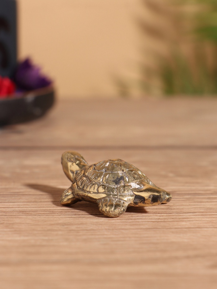 Сувенир «Черепашка», 7×5×2 см, бронза