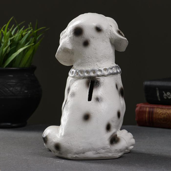 Копилка для денег «Далматинец с цепью», гипс, 18 см