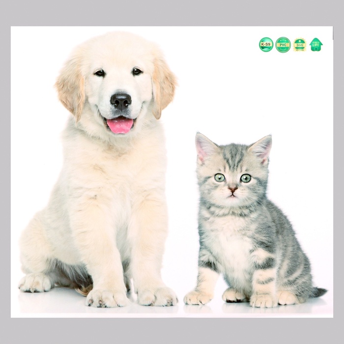 Интерьерная наклейка 3Д TAKE IT EASY «Домашние питомцы: хитрые», 45×40 см