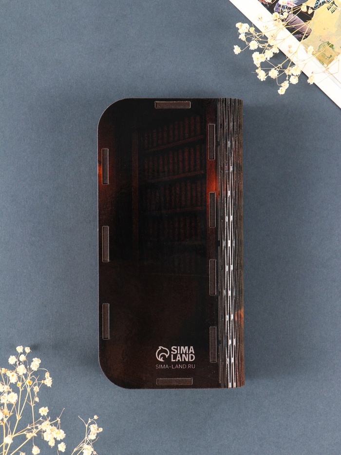 Купюрница подарочная «Гениальному человеку», 17×8.5 см