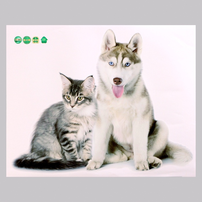Интерьерная наклейка 3Д TAKE IT EASY «Домашние питомцы: кот и собака», 50×40 см