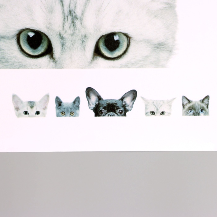 Интерьерная наклейка 3Д TAKE IT EASY «Домашние питомцы подглядывают», 57×42 см