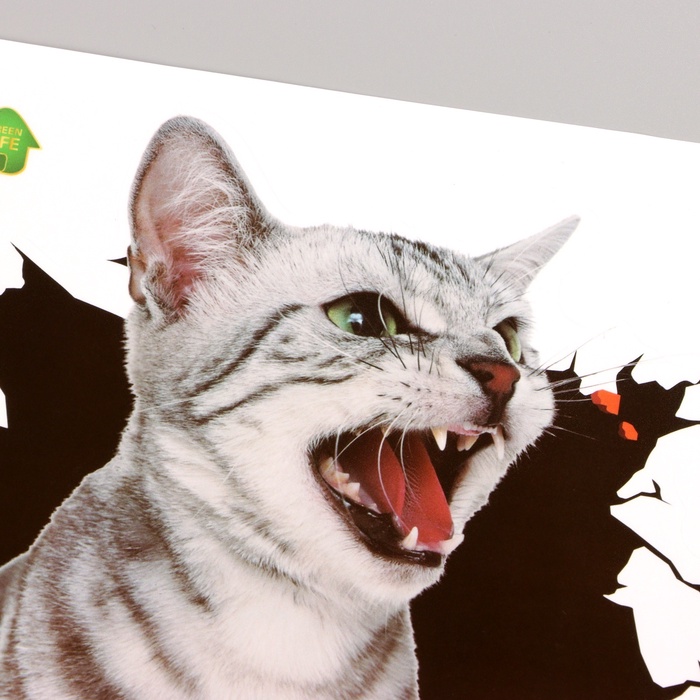 Интерьерная наклейка 3Д TAKE IT EASY «Котик шипит», 30×20 см