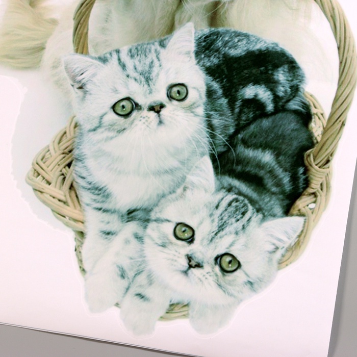 Интерьерная наклейка 3Д TAKE IT EASY «Домашние питомцы пришли», 57×40 см