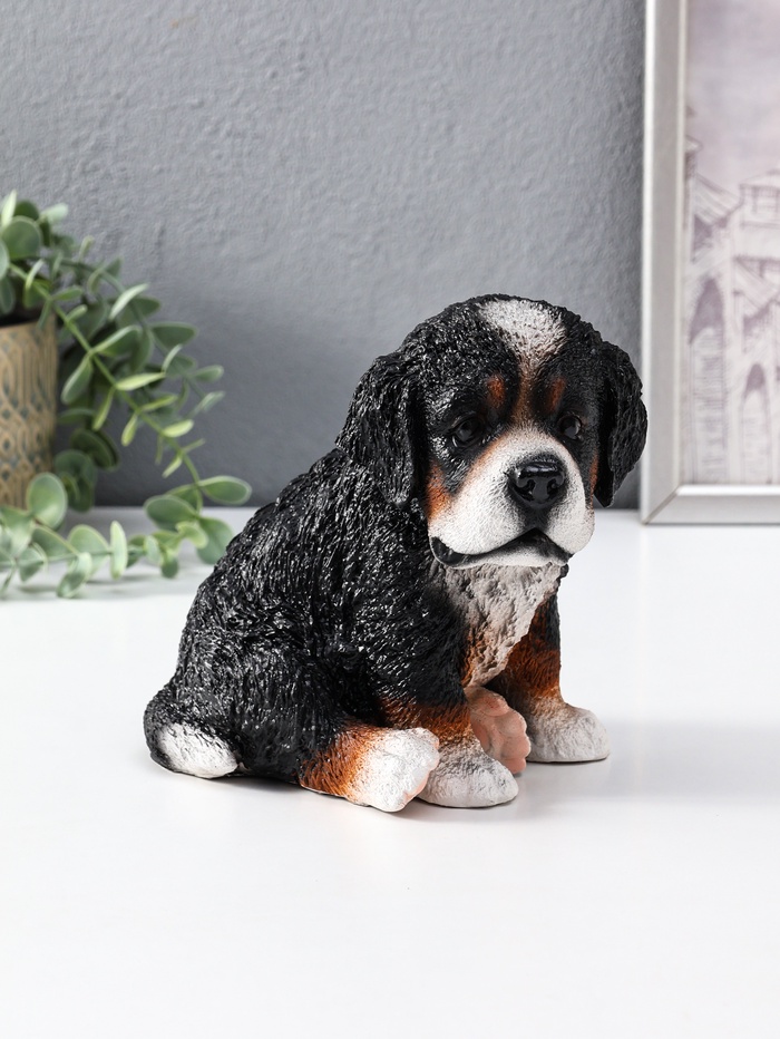 Копилка для денег «Щенок Зенненхаунда Берни», гипс, 17×13×18 см