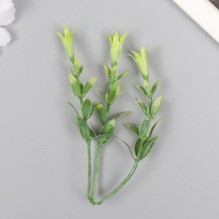 Искусственное растение для творчества «Гиппеастриум», набор 6 шт., светло-зелёный, 11 см