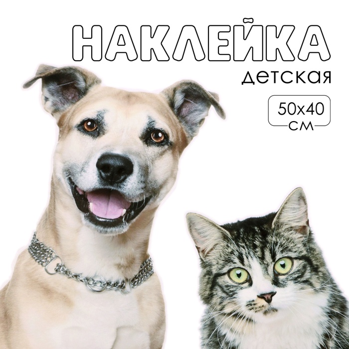 Интерьерная наклейка 3Д TAKE IT EASY «Домашние питомцы рады», 50×40 см