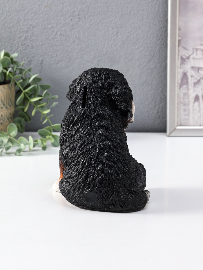 Копилка для денег «Щенок Зенненхаунда Берни», гипс, 17×13×18 см