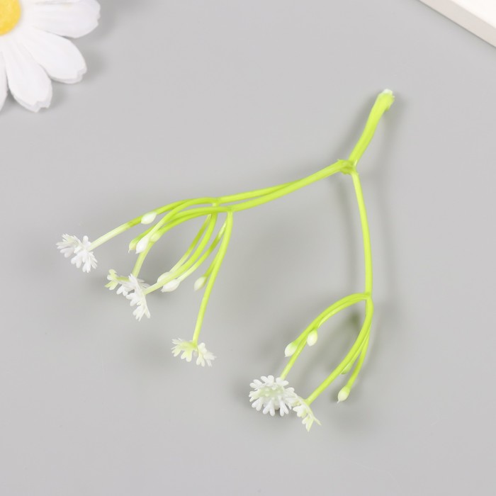 Искусственное растение для творчества «Цикорий», набор 8 шт., белый, 10 см