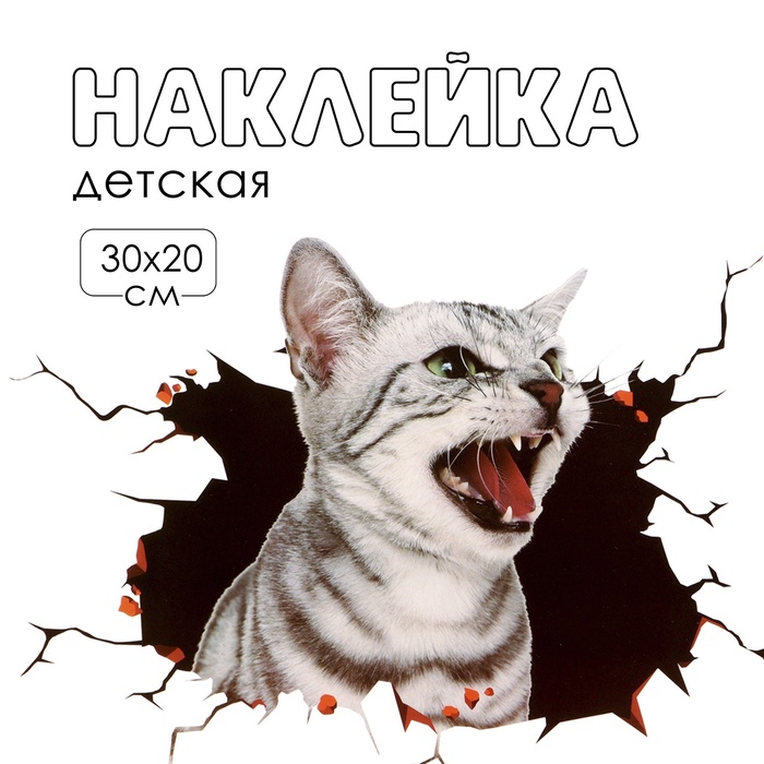 Интерьерная наклейка 3Д TAKE IT EASY «Котик шипит», 30×20 см