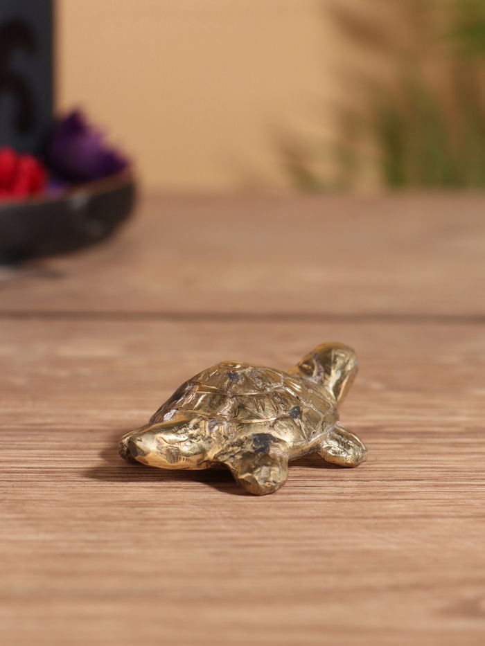 Сувенир «Черепашка», 7×5×2 см, бронза