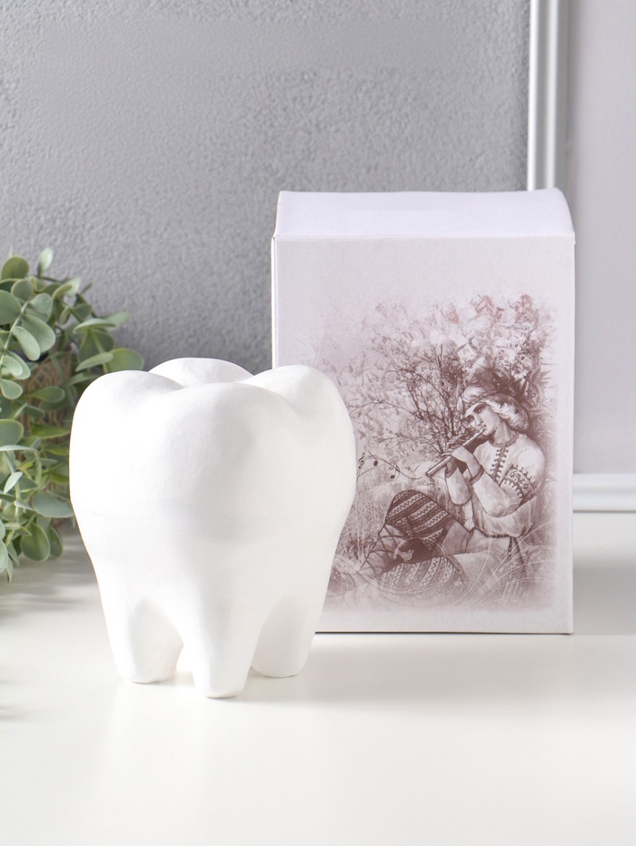 Копилка для денег «Зуб», гипс, белый, 13×14×19 см