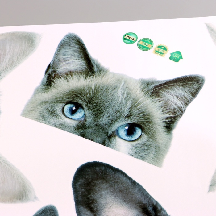 Интерьерная наклейка 3Д TAKE IT EASY «Домашние питомцы подглядывают», 57×42 см