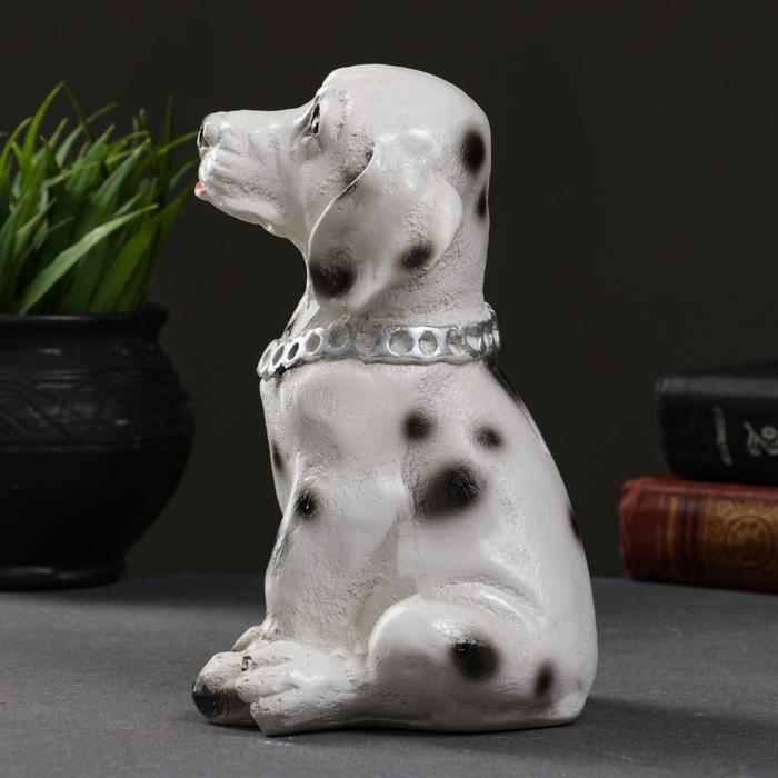 Копилка для денег «Далматинец с цепью», гипс, 18 см