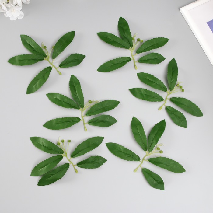 Искусственное растение для творчества «Листья черёмухи», набор 6 шт., 13.5×16 см