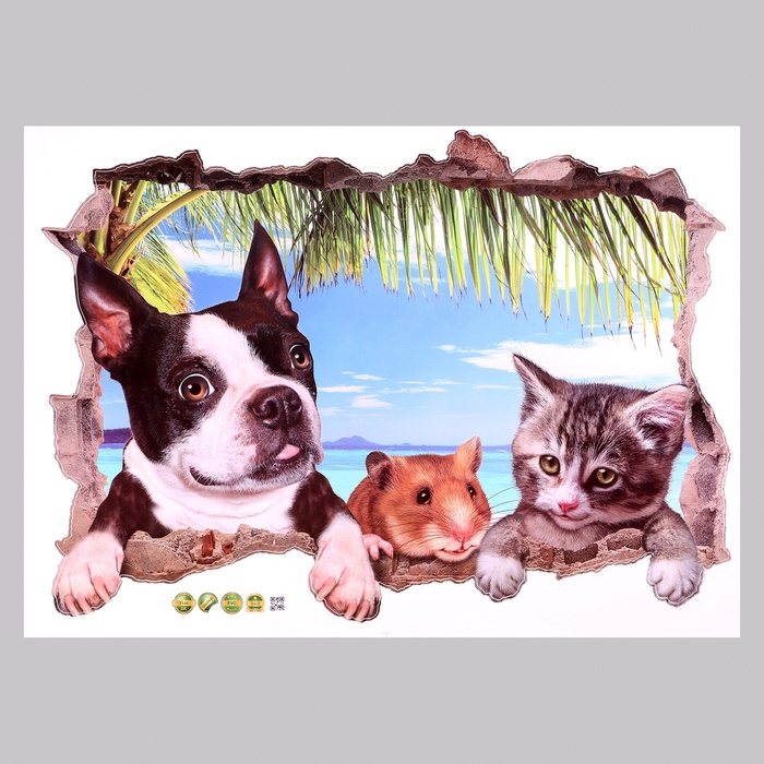 Интерьерная наклейка 3Д TAKE IT EASY «Домашние питомцы из стены», 70×50 см