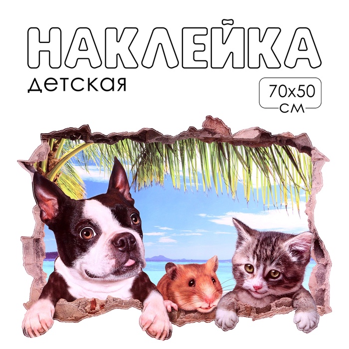Интерьерная наклейка 3Д TAKE IT EASY «Домашние питомцы из стены», 70×50 см
