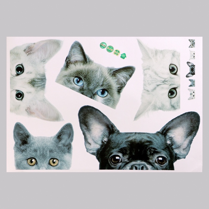 Интерьерная наклейка 3Д TAKE IT EASY «Домашние питомцы подглядывают», 57×42 см