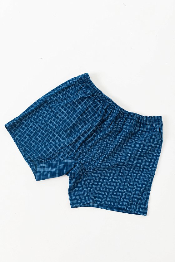 Трусы М10004н