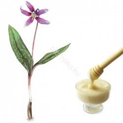 Мёд подснежниковый (крем-мёд из первоцвета кандыка)  400гр