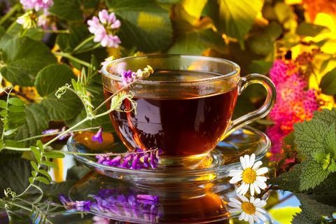 Vitality - Монастырский замечательный черный чай с мятой, душицей, липовым цветом, зверобоем, корнями девясила и шиповником  НОВИНКА!!!
