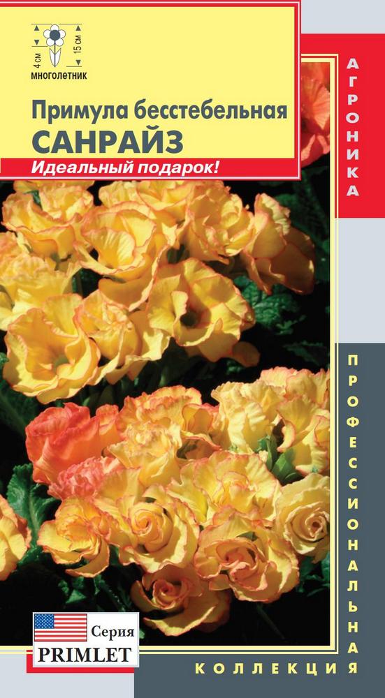 Примула бесстебельная (серия Primlet) Санрайз (компактный куст до 15см высотой и до 18см в диаметре с крупными махровыми цветками диаметром 4-5см)