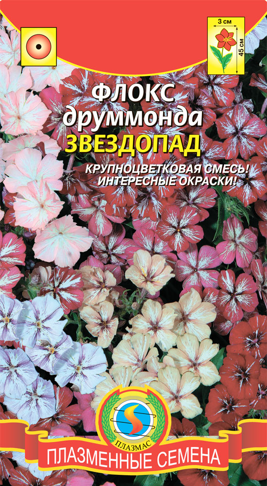 Плазменные семена. Флокс друммонда звездопад. Флокс друммонда смесь. Семена Флокс звездопад. Флокс друммонда гобелен смесь.