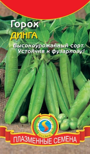 Горох Динга (высокая урожайность и отличные вкусовые качества зелёного горошка, устойчивость к фузариозу)