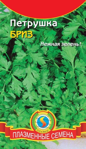 Петрушка Бриз (листовая, нежная зелень)