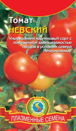 Томат Невский (популярный скороспелый штамбовый сорт, для выращивания под пленочными укрытиями и в открытом грунте)