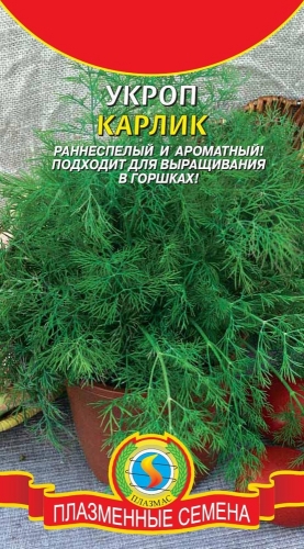 Укроп КАРЛИК