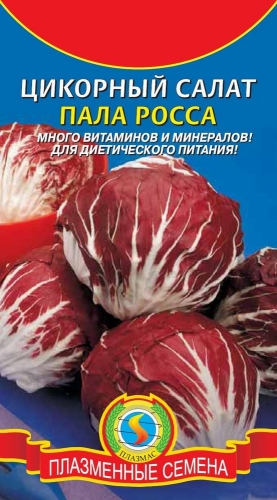 Цикорий салатный Пала Росса (среднеспелый высокоурожайный холодостойкий сорт)