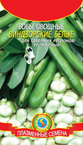 Бобы овощные Виндзорские белые (высокоурожайный холодостойкий сорт для северных регионов)
