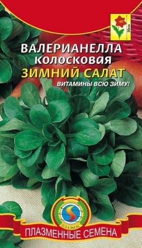 Валерианелла колосковая Зимний салат (витамины всю зиму)
