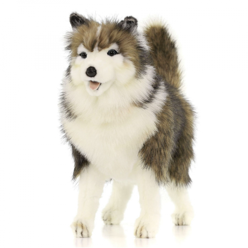 4824 Собака породы Сибирский Хаски, 40 см