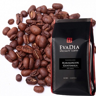   Кофе в зернах EvaDia Марагоджип Гватемала  sfr