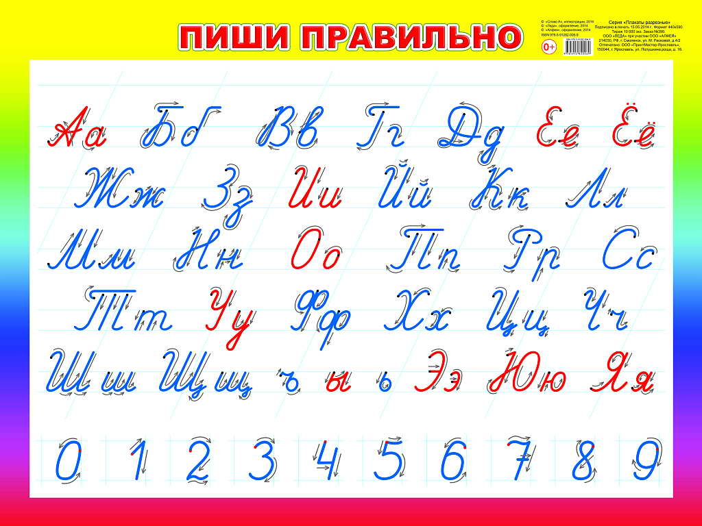 картинки алфавит прописной проведенный черноморском