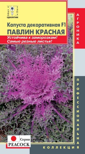 stm263 - Капуста декоративная F1 (серия Peacock) Павлин Красная (2016 г)