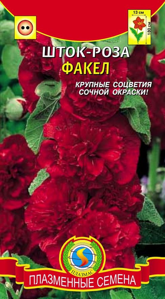 Шток-роза ФАКЕЛ