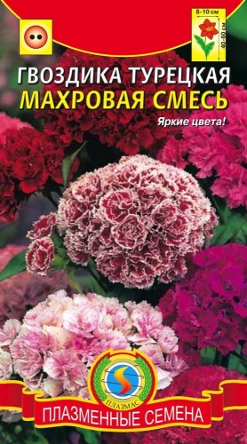 БП Гвоздика Турецкая махровая (смесь)